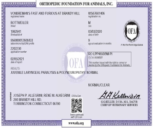 OFA LPP